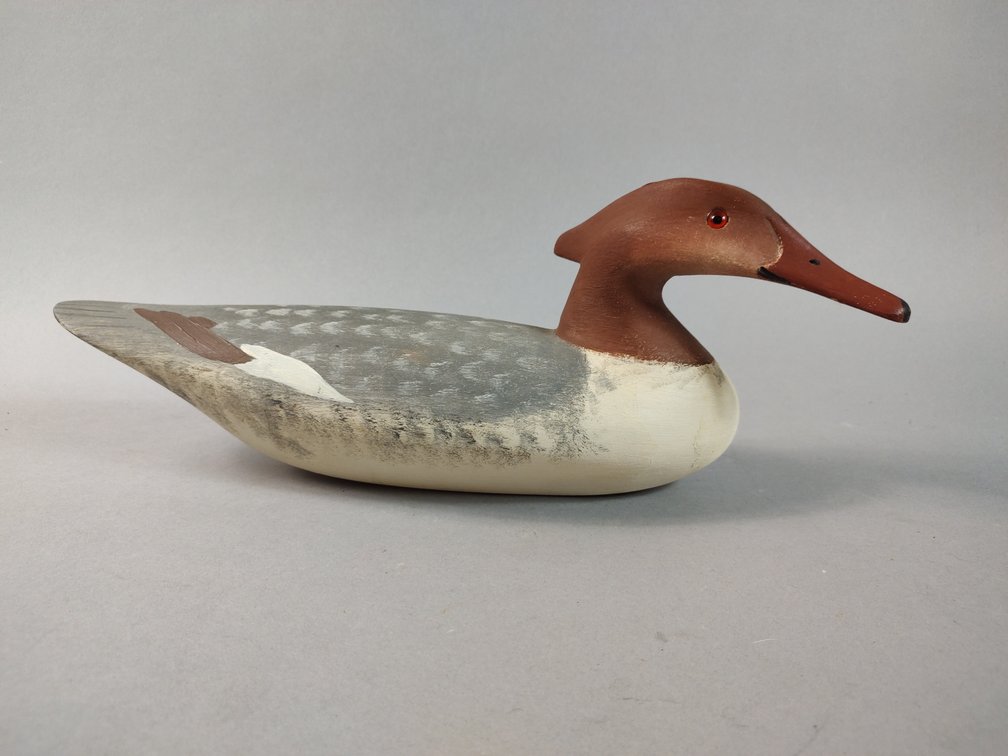 Pratt & Coleman Merganser 