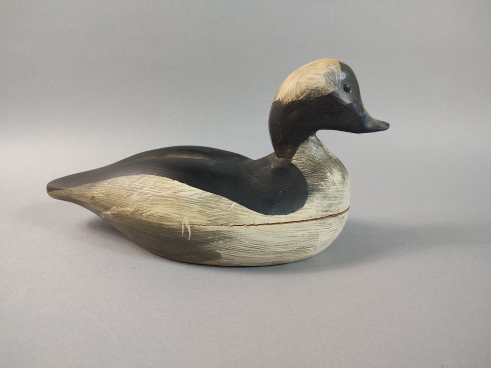 Jay Cherrix Chincoteague VA Bufflehead 