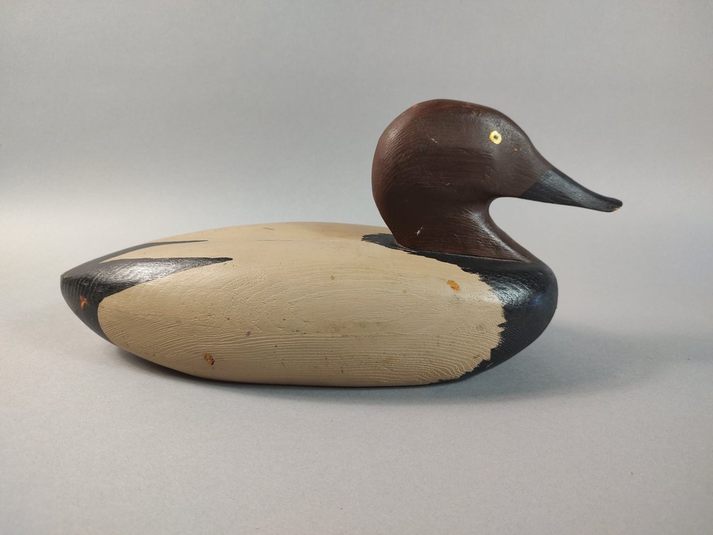 Canvasback by Unknown Maker 