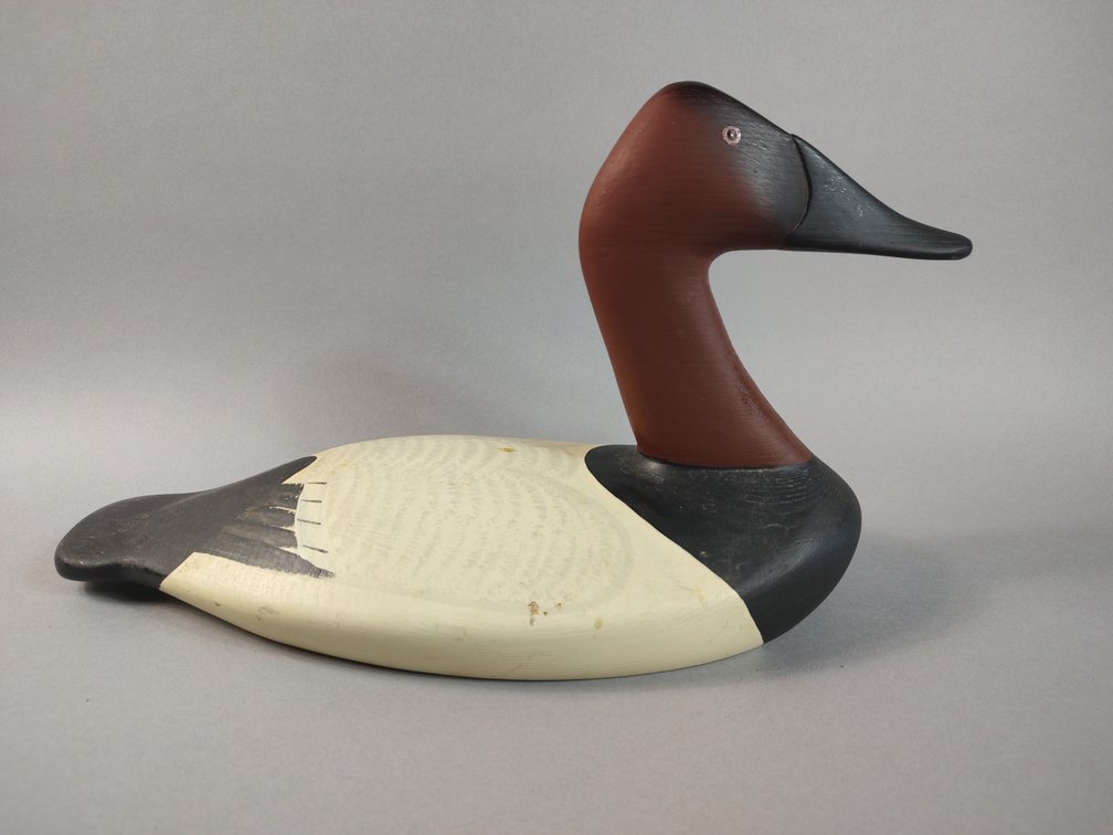 Leonard Lipham Cecil County MD Canvasback 
