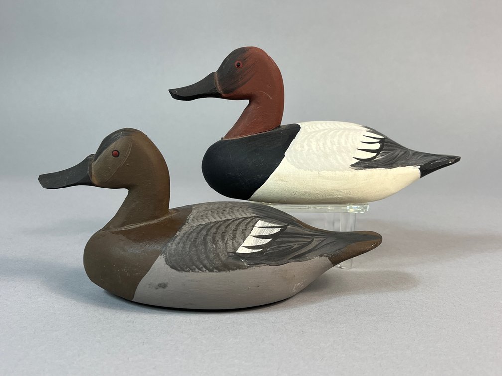 Jess Urie, Rock Hall, MD, Canvasback Pair