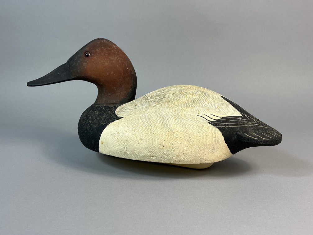 Ronald Labor, Fishing Creek, MD, Canvasback 