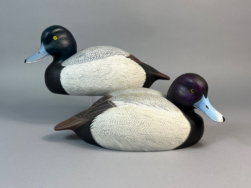 Bob Parks, Cambridge, MD, Bluebills