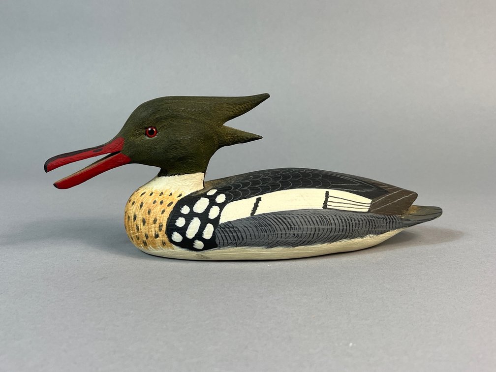 Steve Merritt, Chincoteague, VA, Merganser