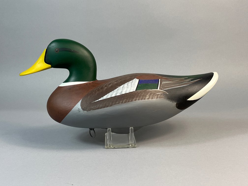 Jim Pierce, Havre de Grace, MD, Mallard