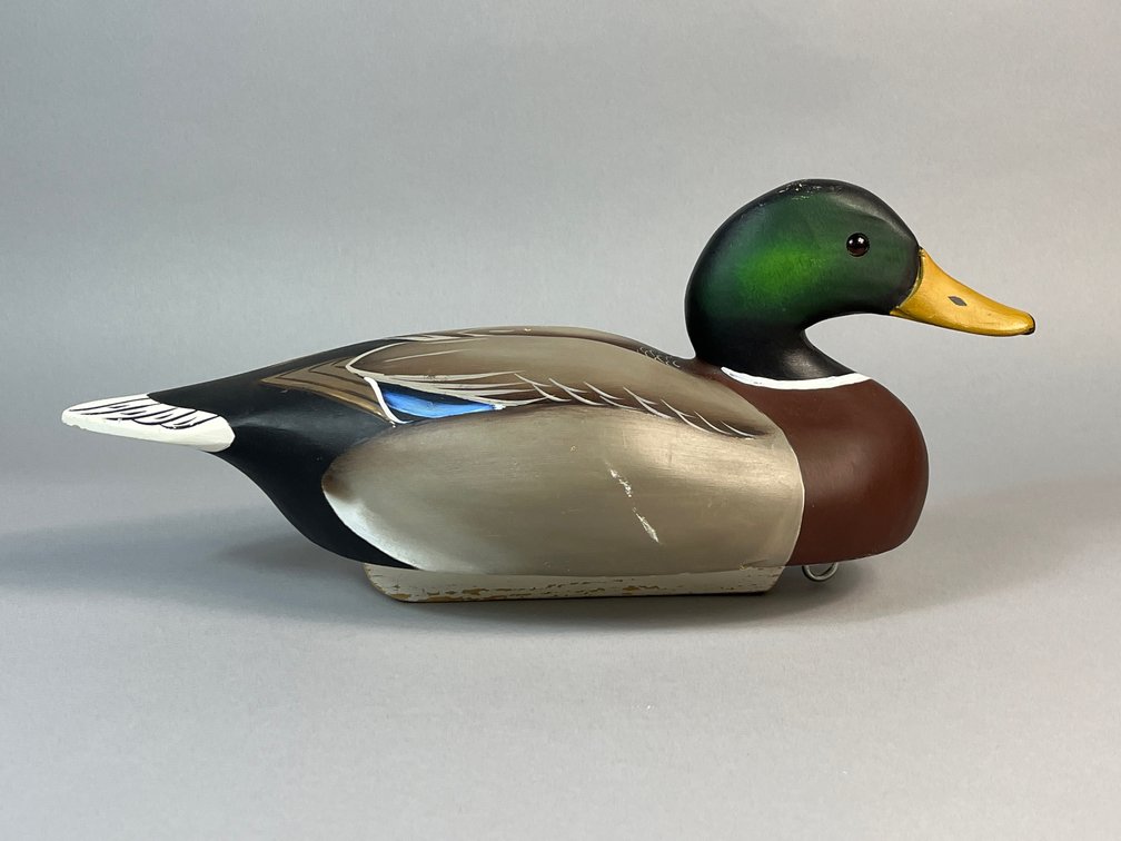Jeff Fitzhugh, Hurlock, MD, Mallard 