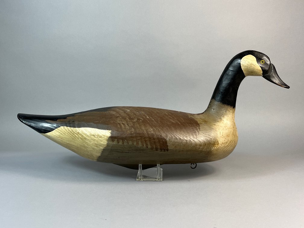 Charles Jobes, Havre de Grace, MD, Canada Goose