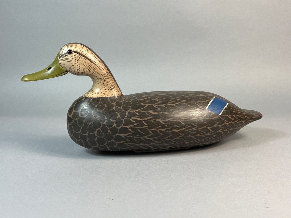 Robert Litzenberg, Elkton, MD, Black Duck