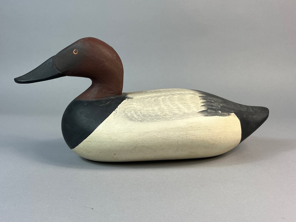 Paul Gibson, Canvasback