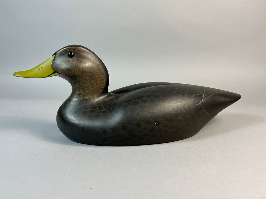 Capt Bill Collins, Blackduck