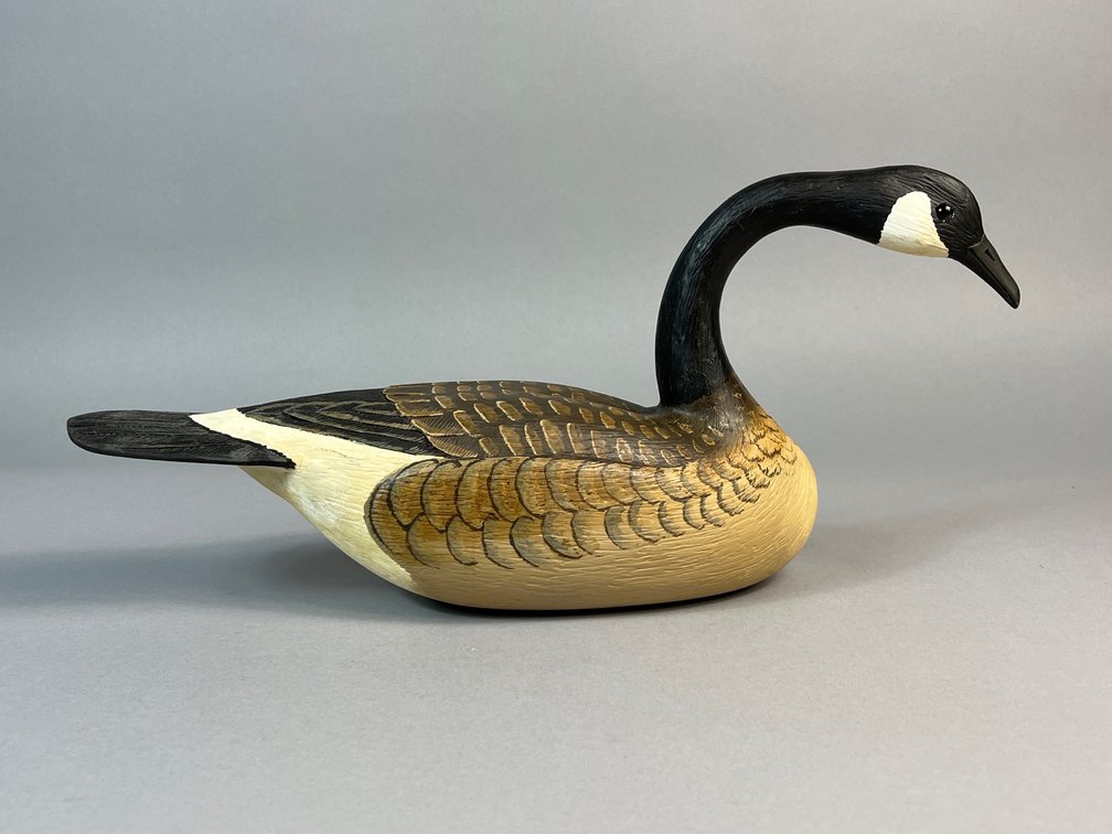 Lou Reineri, Chincoteague, VA, Canada Goose