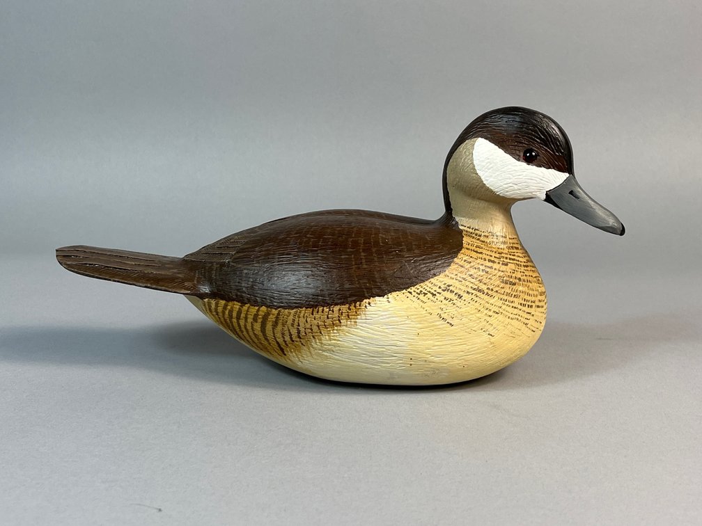 Lou Reineri, Chincoteague, VA, Ruddy Duck 