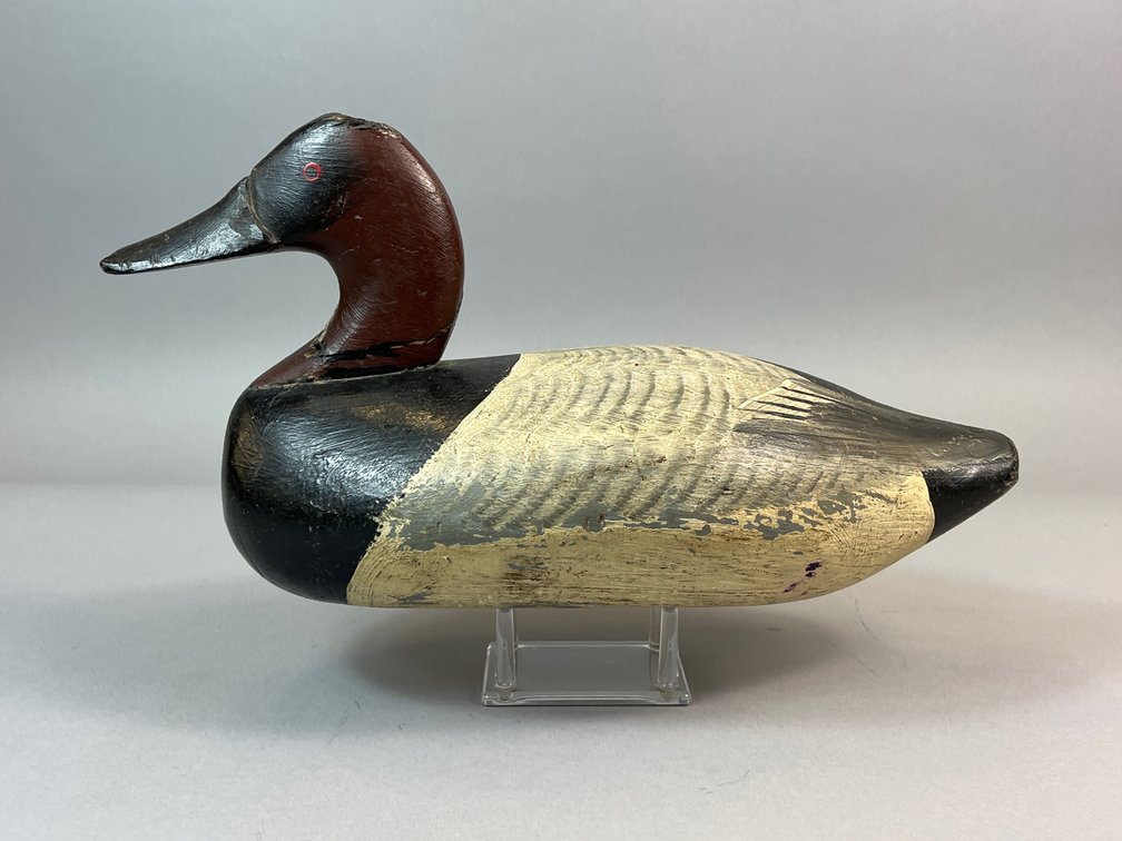 Jess Urie, Rock Hall, MD, Canvasback