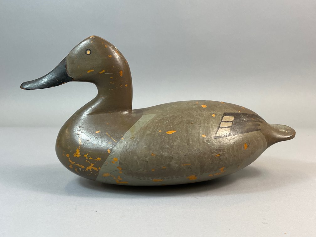 Norris Pratt, Kemblesville, PA, Canvasback