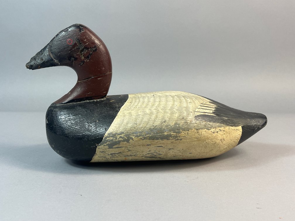Jess Urie, Rock Hall, MD, Canvasback