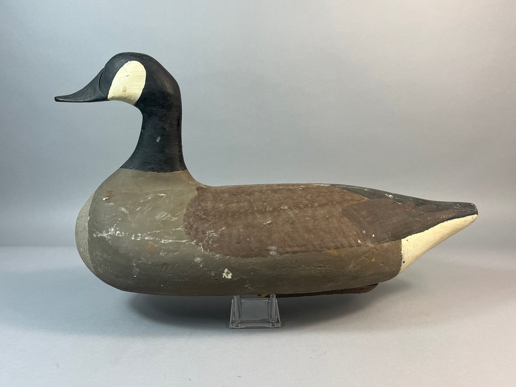 Paul Gibson, Havre de Grace, MD, Canada Goose 