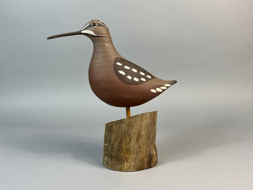 Gary Crossman, Chincoteague, VA, Woodcock 