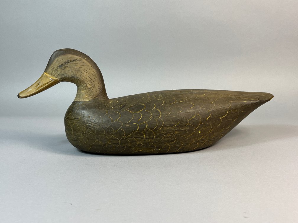 Doug Jester, Chincoteague, VA, Black duck