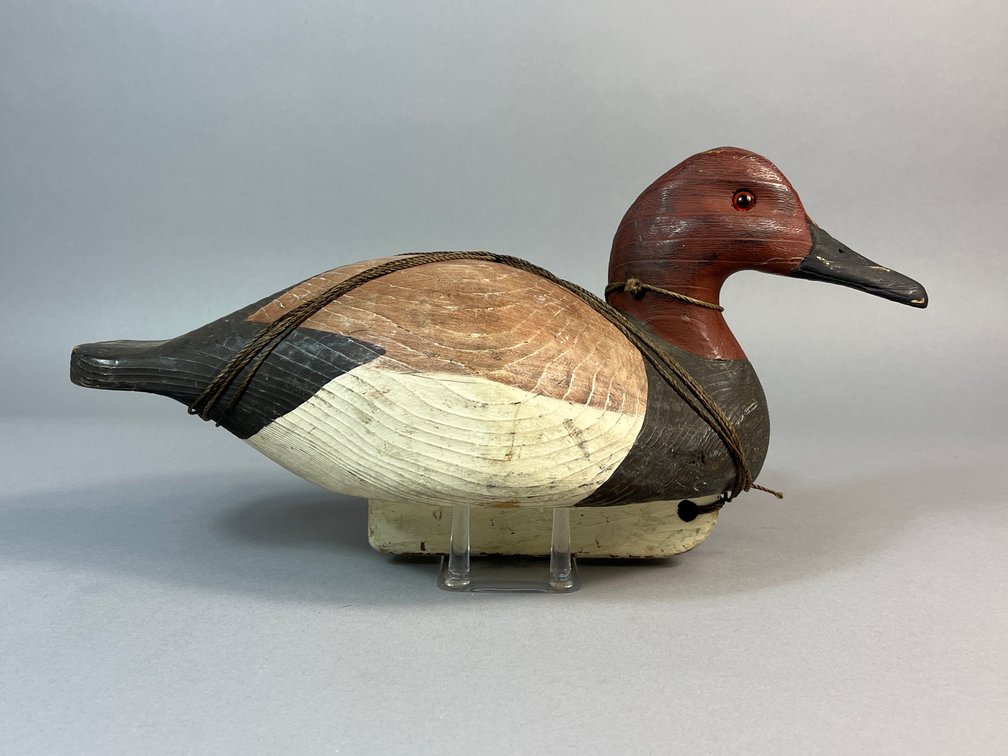 Charles Fish, Chincoteague, VA, Canvasback