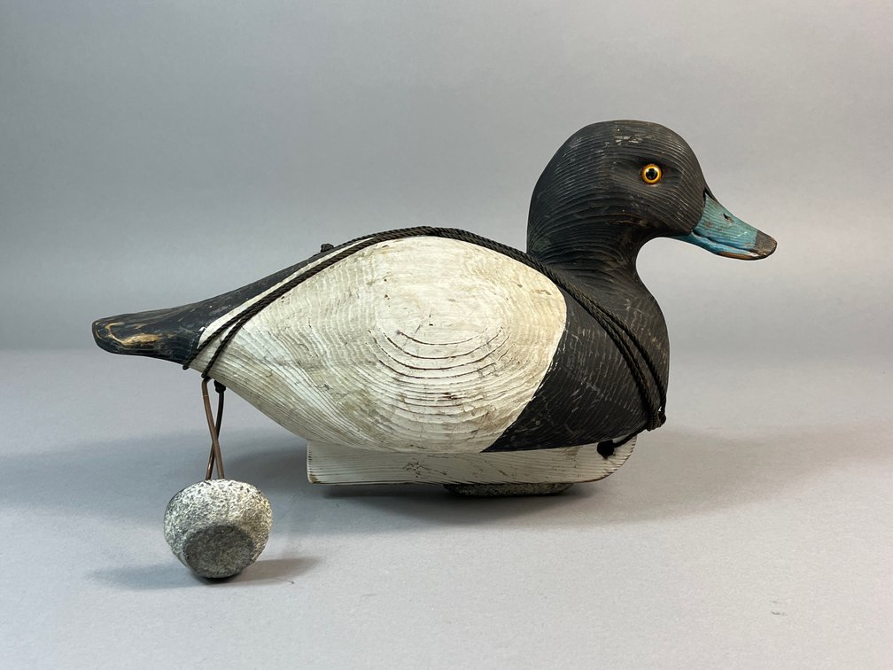 Charles Fish, Chincoteague, VA, Bluebill