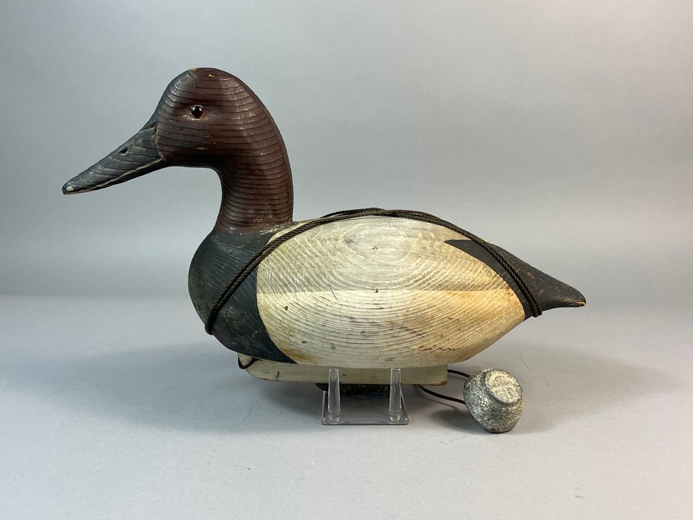 Charles Fish, Chincoteague, VA, Canvasback 