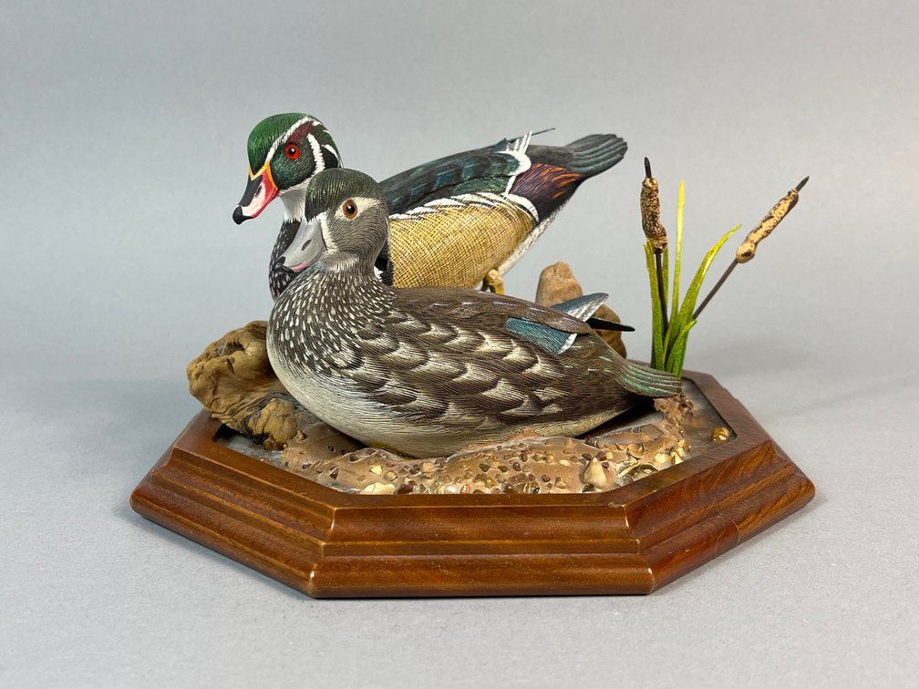Larry Tawes Jr, Salisbury, MD, Wood Ducks 