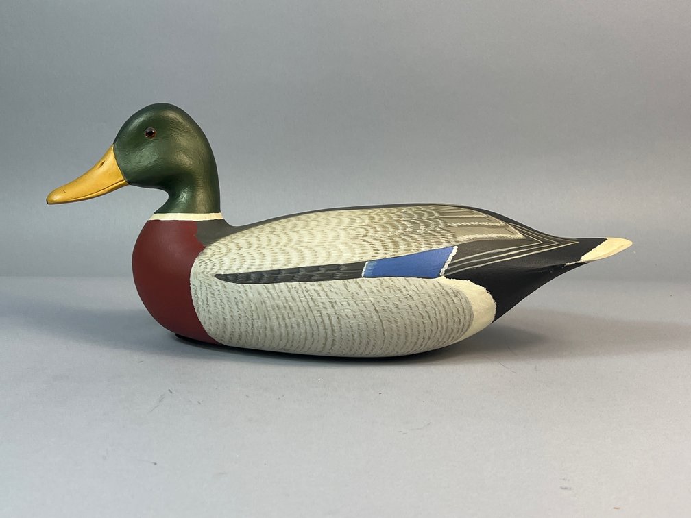 H V Shourds, Tuckerton, NJ, Mallard