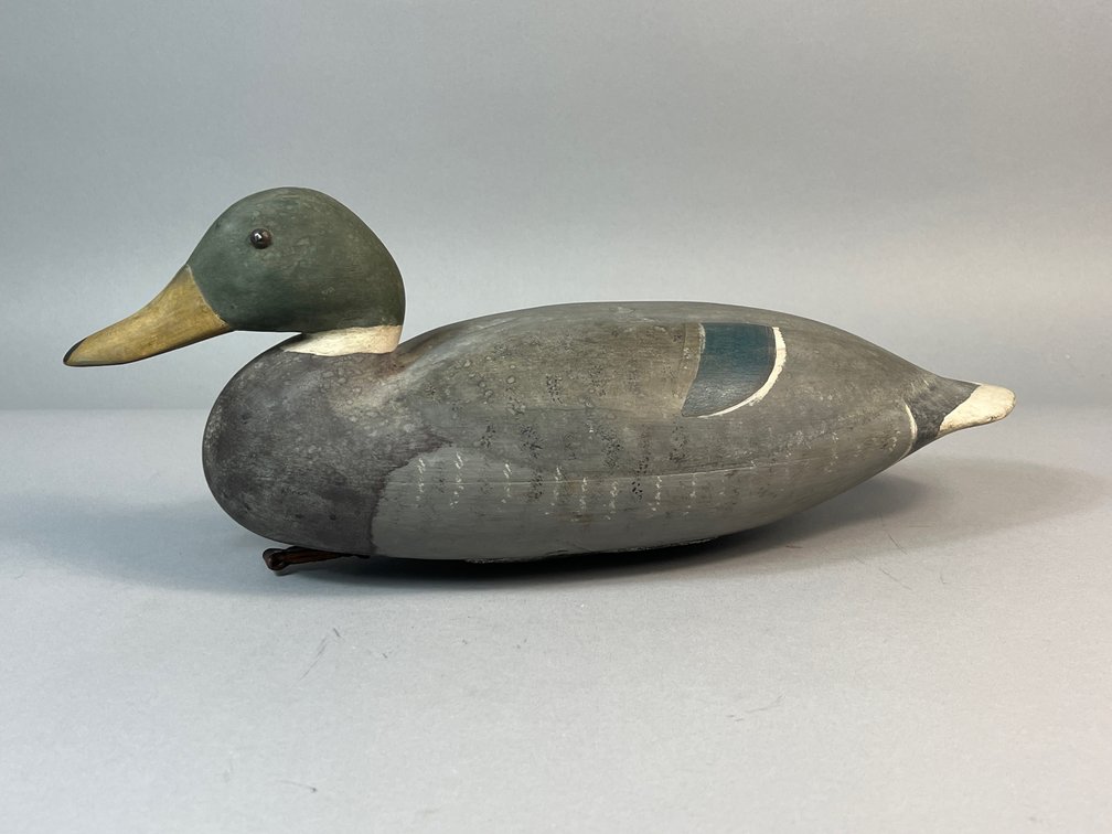 New Jersey, Mallard