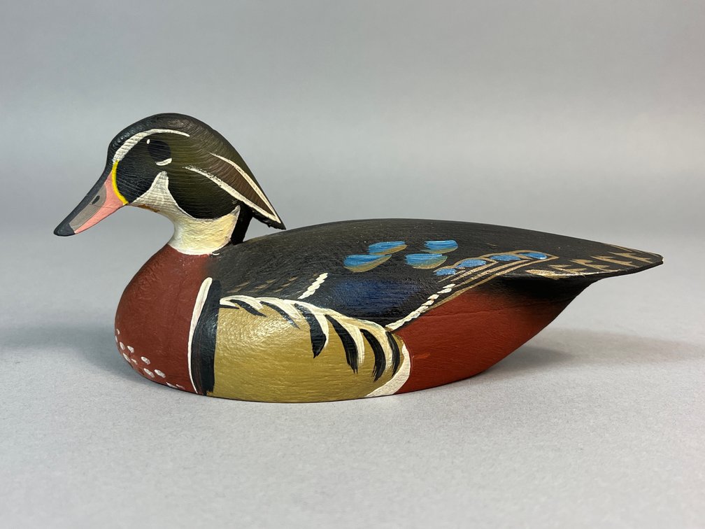 Oliver Lawson, Crisfield, MD, Wood Duck