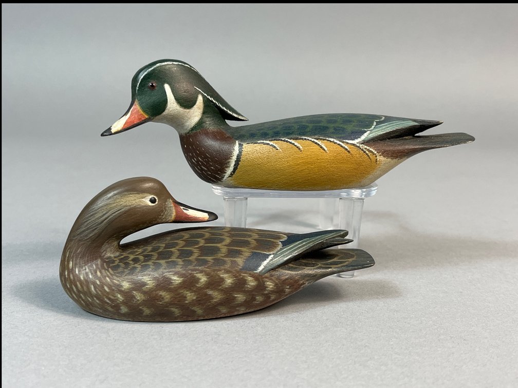 William S Johnson, Virginia Beach, VA, Wood Duck Pair
