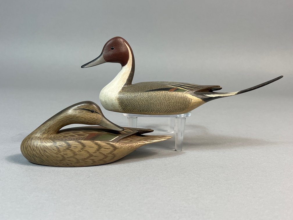 William S Johnson, Virginia Beach, VA, Pintail Pair