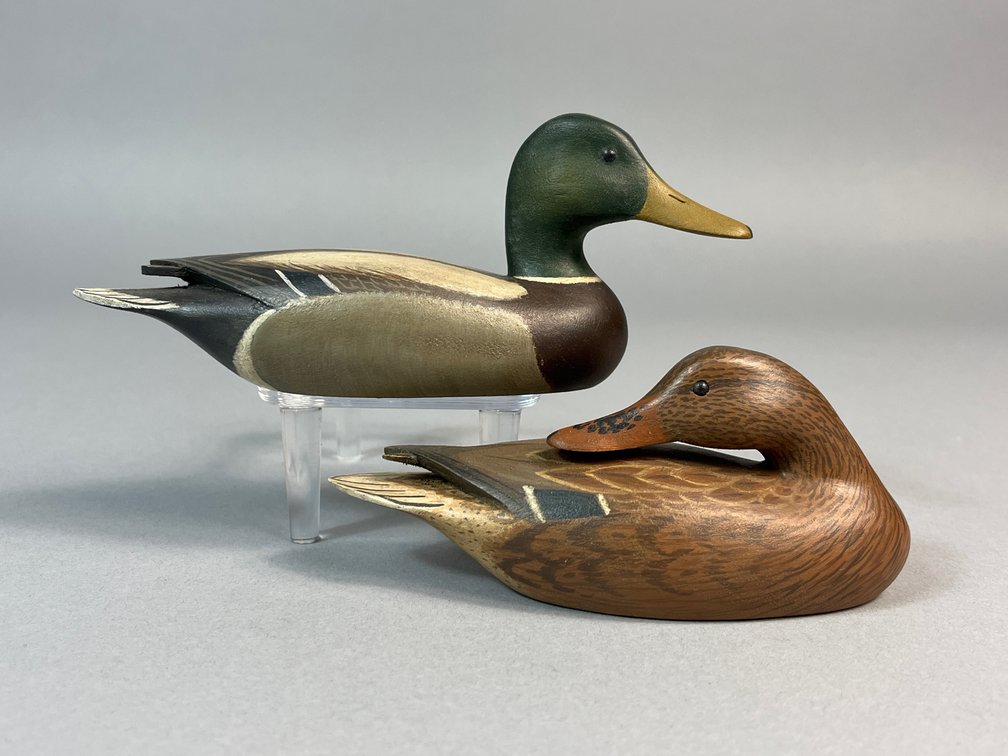 William S Johnson, Virginia Beach, VA, Mallard Pair