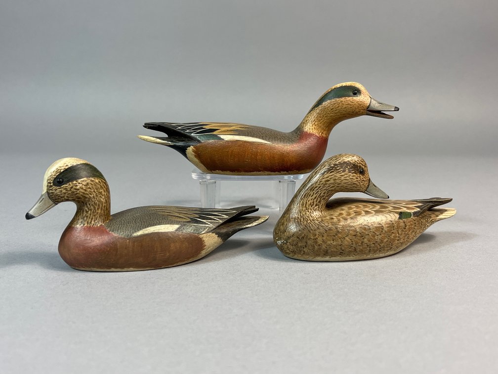 William S Johnson, Virginia Beach, VA, Widgeon Trio