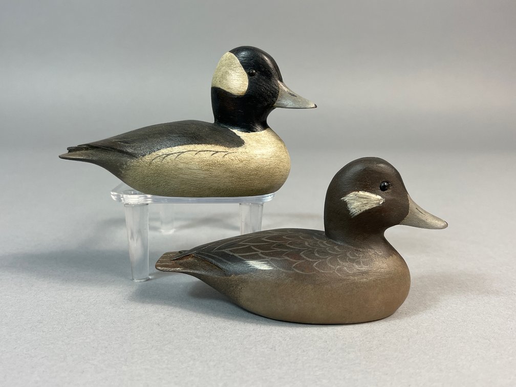 William S Johnson, Virginia Beach, VA, Bufflehead Pair