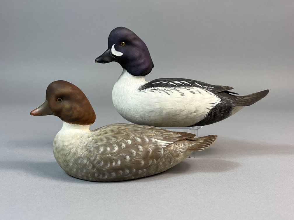 Glenn McMurdo, Cobourg, ON, Barrows Goldeneye Pair