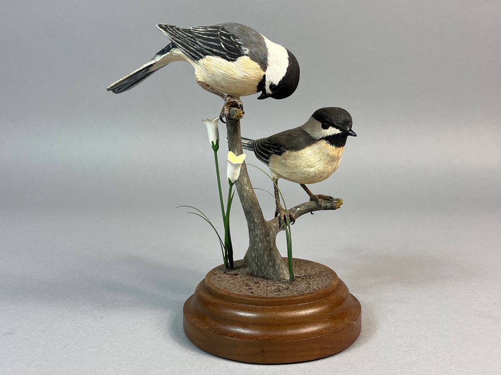 A B Wilson, Baton Rouge, LA, Songbirds