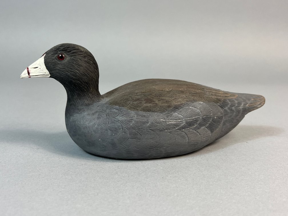 Jim Lynch, Coot