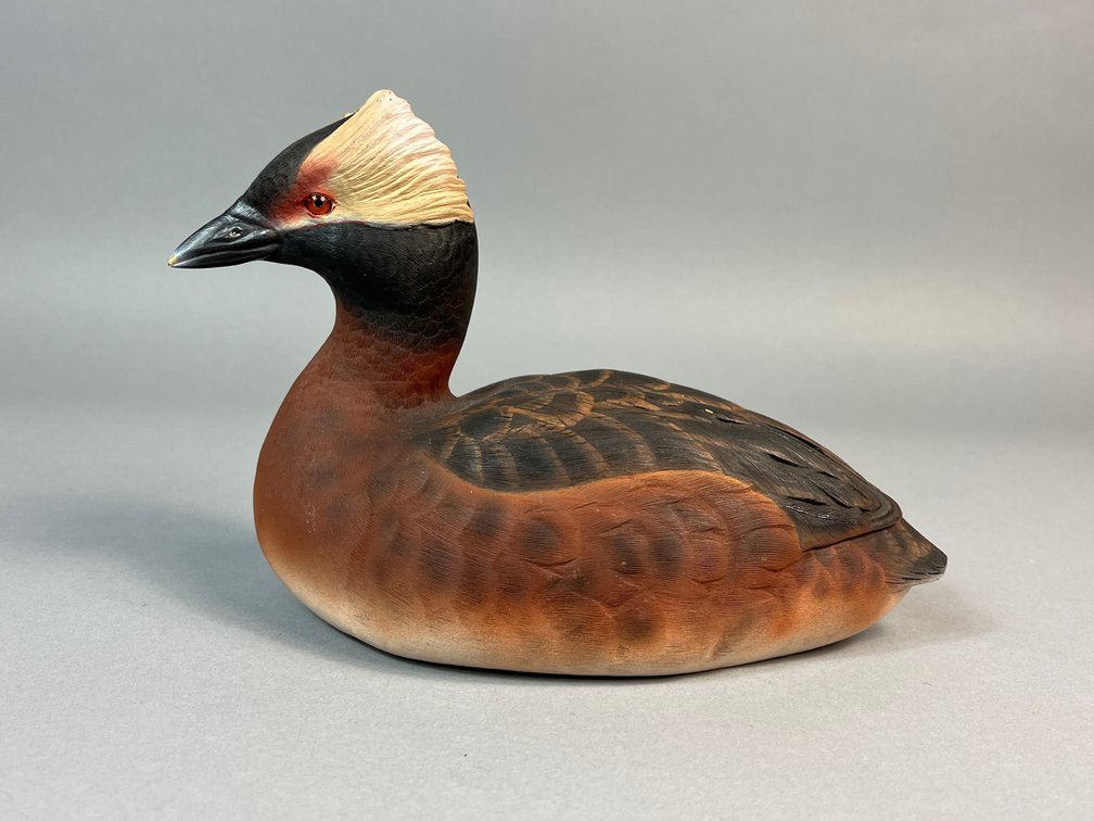 Henry T Mayet, Horned Grebe