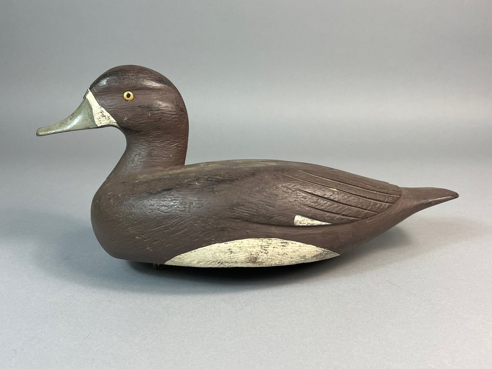 Canada, Bluebill