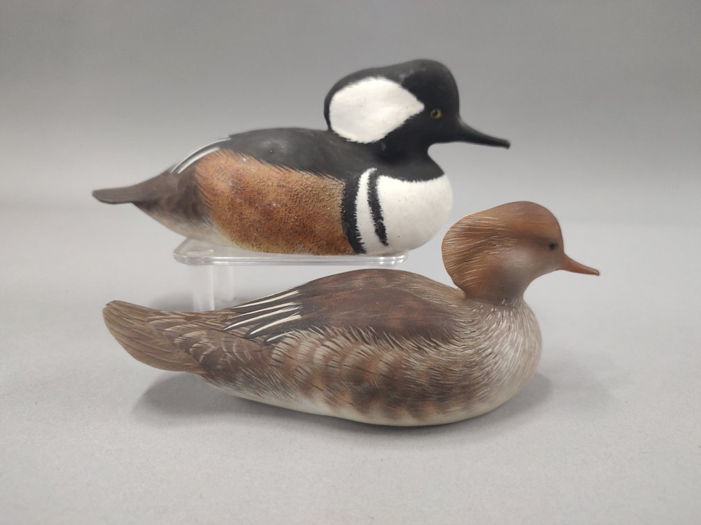 Glenn A McMurdo, Cobourg, ON, Hooded Merganser Pair