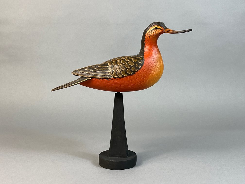 Lou Reineri, Chincoteague, VA, Shorebird