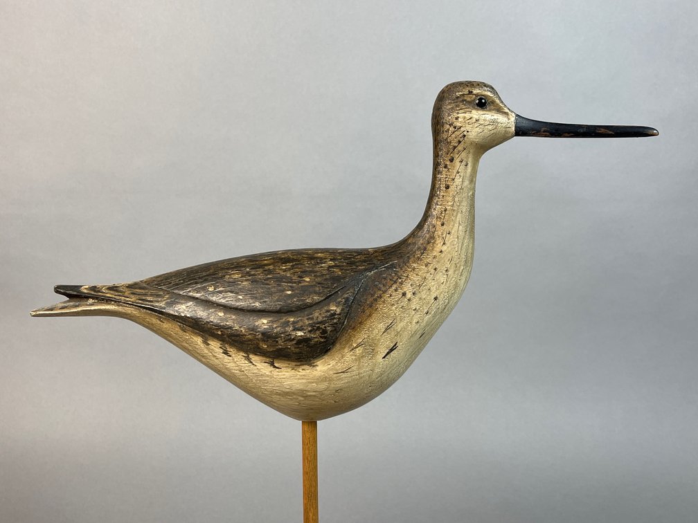 Bill Gibian, Onancock, VA, Yellowlegs 
