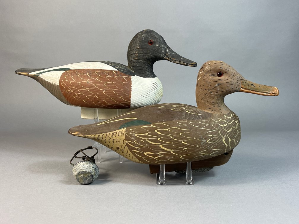 Charles Fish, Chincoteague, VA, Shoveler Pair