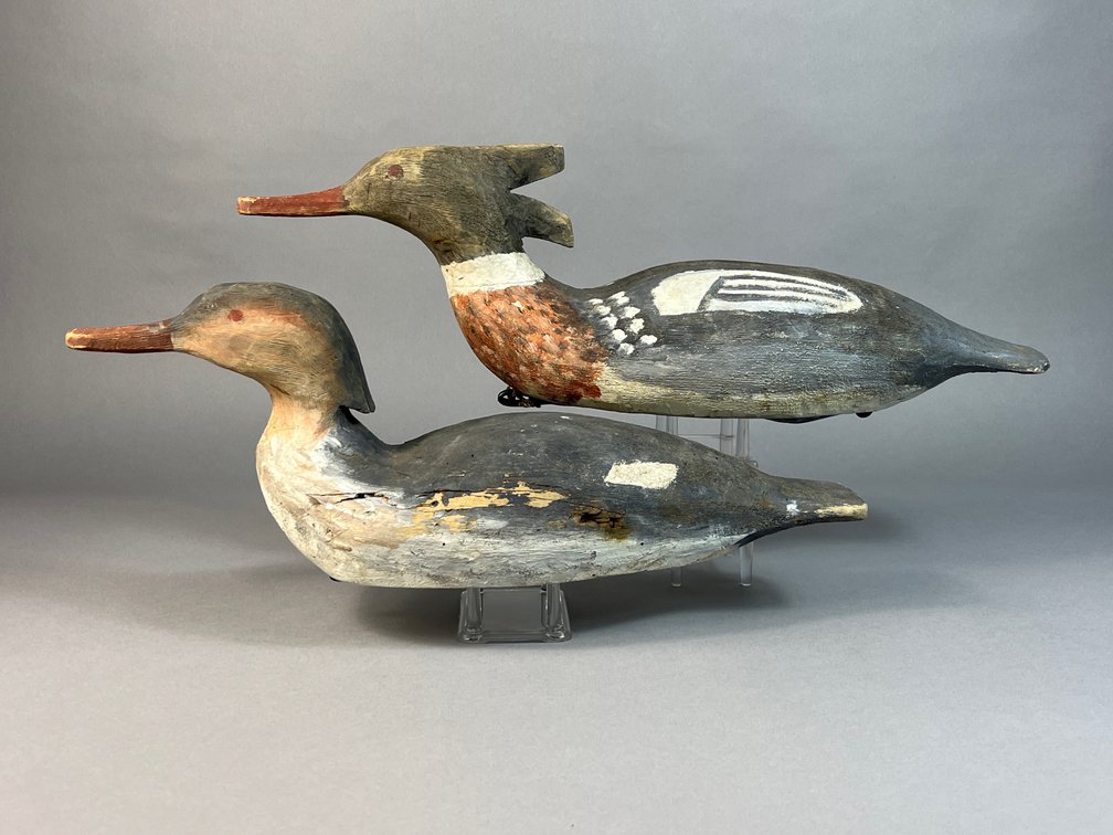 Delbert “Cigar” Daisey, Chincoteague, VA, Merganser Pair