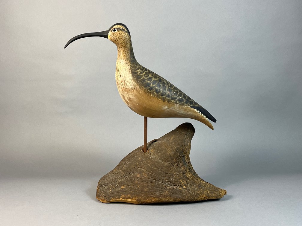 Delbert “Cigar” Daisey, Chincoteague, VA, Curlew