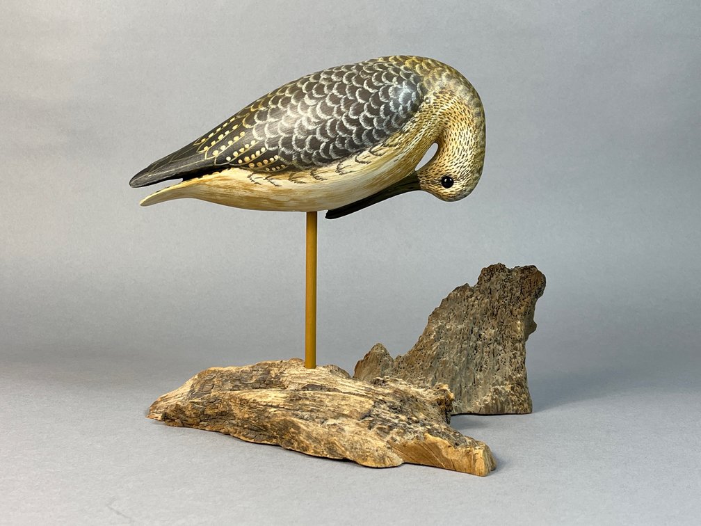 Delbert “Cigar” Daisey, Chincoteague, VA, Yellowlegs
