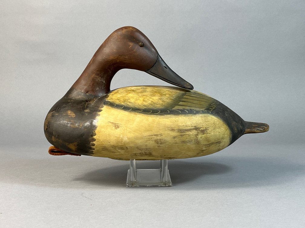 Ronald Justis, Chincoteague, VA, Canvasback