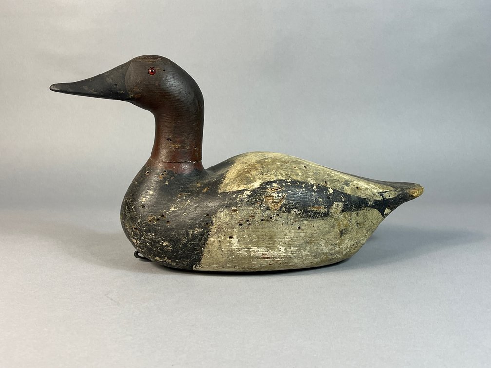 Frank Resop, Wisconsin, Canvasback