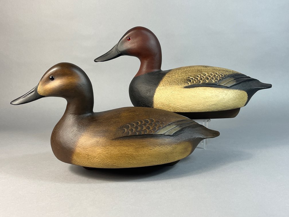 Darkfeather Freedman, Michigan, Canvasback Pair