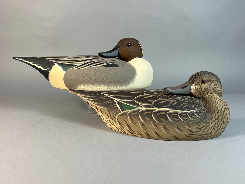 Robert Capriola, Chico, CA, Pintail Pair 